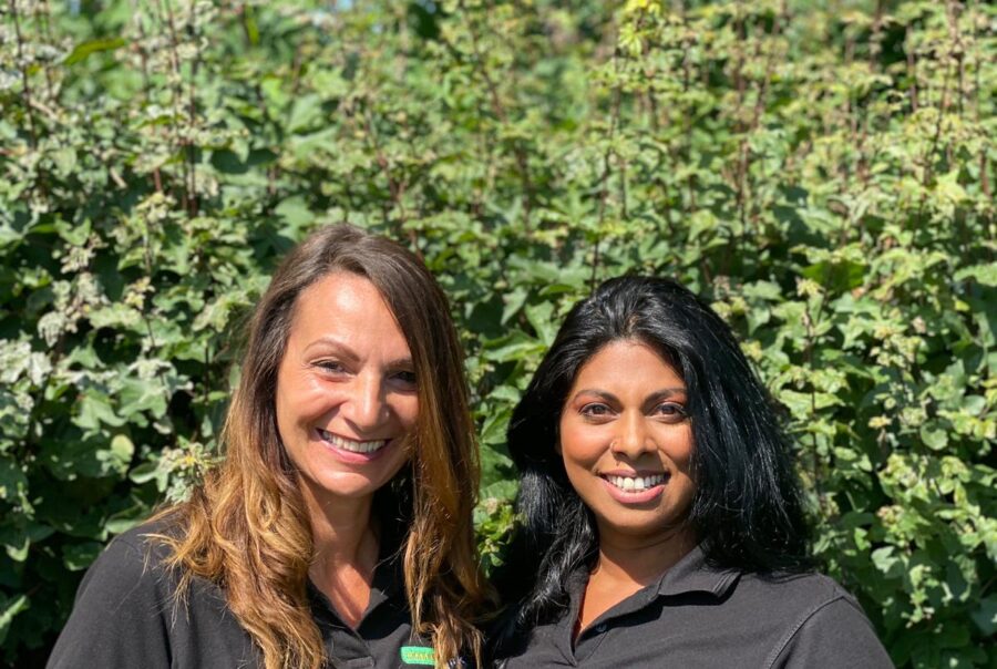 Milton Keynes CleanerBins Wheelie Bin Cleaning